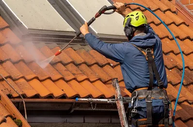 Démoussage et hydrofuge de toiture à Riguepeu